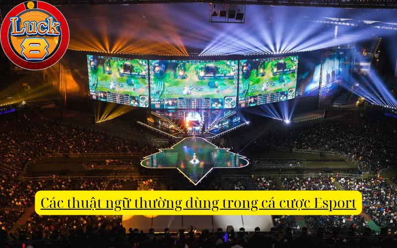 cac-thuat-ngu-thuong-dung-trong-ca-cuoc-esport