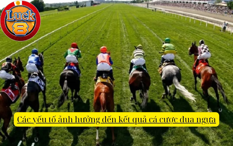 Các yếu tố ảnh hưởng đến kết quả cá cược đua ngựa