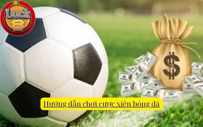 huong-dan-choi-cuoc-xien-bong-da